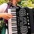 Who Stole The Kishka Accordion Cover Accordion Music Cover Elenastenkina