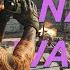 How To Get Open NAT Type In COD Warzone REDUCE LAG PC PS4 XBOX Port Forwarding