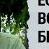 День опричника наше потенциальное будущее тв2 очевидцы война