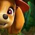 Chase And Skye Rescue Missions And MORE PAW Patrol Cartoons For Kids