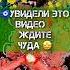 Увидели это видео Ждите чудо Гадание на воске для тебя