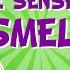 Five Senses The Sense Of Smell Educational Videos For Kids