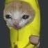 Banana Cat Running 4 Hour Loop