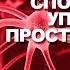 Как развить способность управления пространством фазы Вебинар куратора А Шашкова
