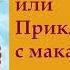 гл 4 Путь Кассандры или Приключения с макаронами Юлия Вознесенская аудиокнига