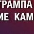 РЕАЛИЗМ ТРАМПА И КАМЛАНИЕ КАМАЛЫ ПОБЕДА ЗА ПРАВДОЙ веллер 15 09 2024