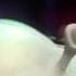 Shrek Biggest Roar