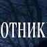 Сага о вампирах 9 серия Ночные охотники автор Анна Костенко Мистика Приключения