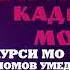 Шон мс Кадри Модар 2020