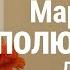 Марафон ПОЛЮБИ СЕБЯ День 10 Окружение Наталия Капцова