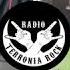 SU DI NOI 1 MINUTE PUNK E Radio Terronia Rock PUPO Punk Rock COVER