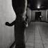 Who Keeps Closing The Doors SCP Secret Laboratory