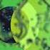 Indifferent Guy ODYSSAY Run Away Original Mix AREA VERDE
