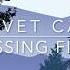 Civet Cat Crossing Fields Sounds Explorer