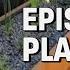 Planting Your Pond Or Bog Filter Episode 4 How To Build A Bog Filter