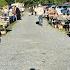 Searching The Adamstown Renninger S Antique Market For Treasures 2024 Pennsylvania