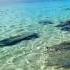 The Sound Of Gentle Waves Is So Satisfying And Calming