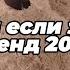 Танцуй если знаешь этот тренд 2025 года