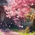 Beautiful Cherry Blossom Music Relaxing Japanese Zen Music For Stress Relief