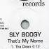 Sly Boogy That Z My Name Clean Acapella