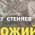 ЗАКОН БОЖИЙ И ВОЙНА МЕЖДУ МИЛИТАРИЗМОМ И ПАЦИФИЗМОМ Протоиерей Олег Стеняев