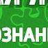 Осознанная любовь