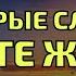 МУДРЫЕ СЛОВА ЦЕНИТЕ ЖИЗНЬ ожизни задумайся сосмыслом Диана Сибирская