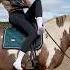 My New Riding Boots Horse Horses Equestrian Youtubeshorts Funny Trending