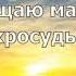 День 15 Медитация Изобилия Магия синхросудьбы