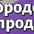 Глава Толдот Рав Бенцион Зильбер