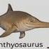 Types Of Underwater Dynosourus Ichthyosaurus