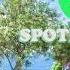ОСТАП ПАРФЁНОВ МУЖЧИНА ДОЛЖЕН SPEED UP Spotify Love Speed Up Songs