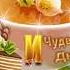 Доброе утро Жизнь продолжается Катя Ростовцева