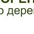 Заросли терновника можно удалить простым способом не выкорчевывая корни