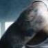 Dr Dre I Need A Doctor Ft Eminem Skylar Grey Instrumental