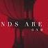 Sam Tinnesz Legends Are Made Lyrics