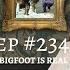 234 Bigfoot Proof Of Existence Part 3