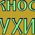 Часть 1 Урок 2 Важность ТАУХИДа Шейх Салих аль Фаузан