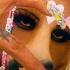 MCR T HorsegiirL My Barn My Rules Official Video