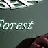 Chrono Trigger Secret Of The Forest