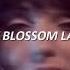 Shocking Blue Blossom Lady Letra