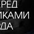 Речь Стивена Спилберга перед выпускниками Гарвард 2016