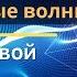 Продольные волны Николай Алексеевич Колтовой