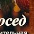 Аудиокнига Нора Адамян Новый сосед Повесть глава 9 11 заключительная Читает Марина Багинская