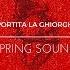 La Portita La Ghiorghita Trap Roamesc Vocal