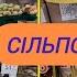 Акції Сільпо з 14 11 по 20 11 Цінотижники Сільпо Знижки до 50