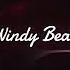 Music Windy Beats