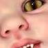 Deadly Nightshade Nursery Reborn Vampire Babies