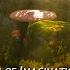 Woods Of Imagination By Alexander Nakarada FANTASY Royalty Free Music Creative Commons CC BY