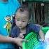 Harvest Cassava To Sell At The Market Close The Cupboard Dung And Dau Play Garden Together